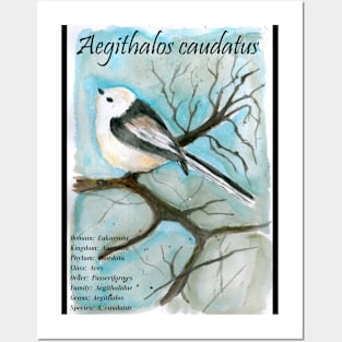 Long-tailed tit Posters and Art